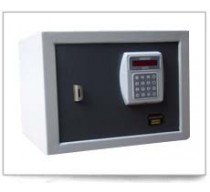 Electronic Safes