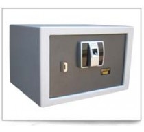 Electronic Safes